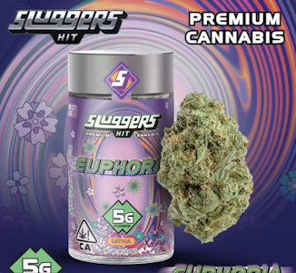 HIT SLUGGERS - Euphoria - Indoor - 5g 