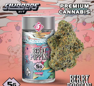 Sluggers Hit -  Berry Poppins - Indoor - 5g