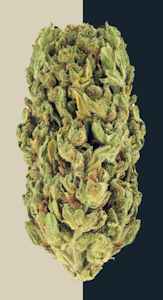 Bannerman's Batch - Bannerman's Batch - Pop Tart - 1g - Dimebag