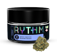 Rythm | Flower | Animal Scout | 3.5g