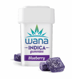 Wana | Edible | Blueberry Indica | 10-pack | 10mg