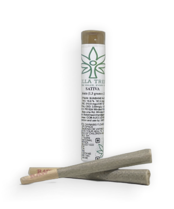 Dolla Treez | Preroll | Sunshine Haze | 2-pack 1.3g