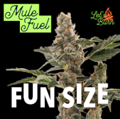 Mule Fuel 7g Fun Size Budz 0018