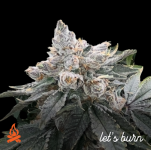 Let's Burn - Yeet 3.5g 0008