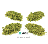 AGL 7g Select Grind Cherry Maui Wowie (S) 01078