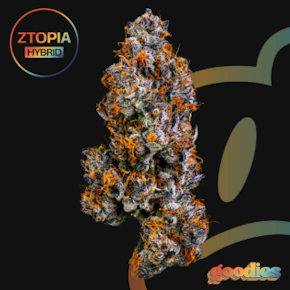Goodies | Ztopia | 7g