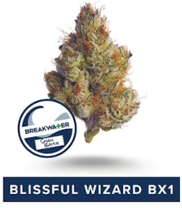 Breakwater - Flower | Breakwater | Blissful Wizard Bx1 | 3.5g
