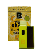Melon Burst - 2g All In One Disposable (Blinkers)