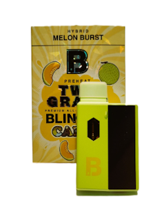 Blinkers - Melon Burst - 2g All In One Disposable (Blinkers)