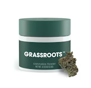 Moonbeam Gelato 3.5g