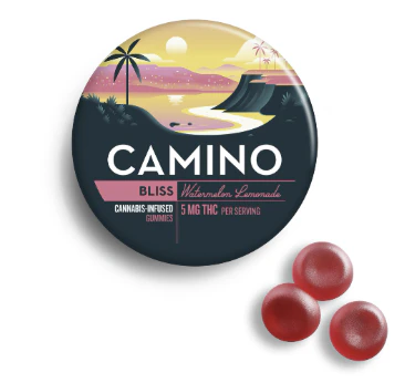 Camino - Camino-Watermelon Lemonade-20ct 00343 Main Image