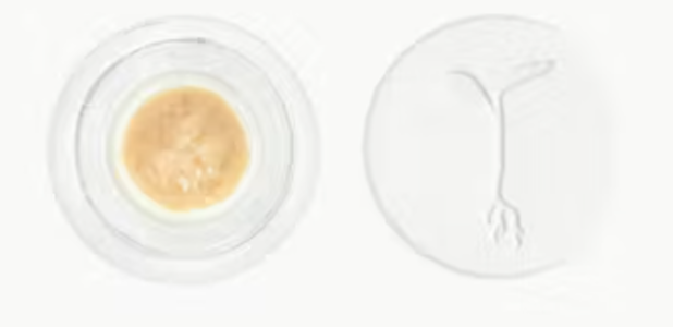 RAW GARDEN - Raw Garden - Concentrate - Rosin - Apple Tartz #6 - 1G