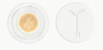 Raw Garden - Raw Garden - Concentrate - Rosin - Grapes & Cream - 1G Main Image