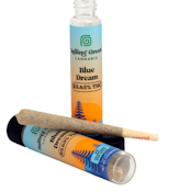 Blue Dream - Rolling Green - 1G Pre-Roll