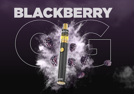 DIME INDUSTRIES - Blackberry OG AIO | 2g