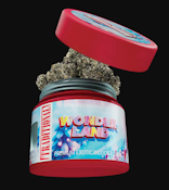 TRADITIONAL 3.5G Wonderland Indoor Flower