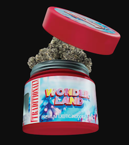 TRADITIONAL - TRADITIONAL 3.5G Wonderland Indoor Flower