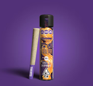 TRADITIONAL 1G Mamba 24 Infused Preroll