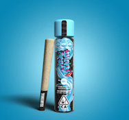 TRADITIONAL 1G Spray Paint Infused Preroll