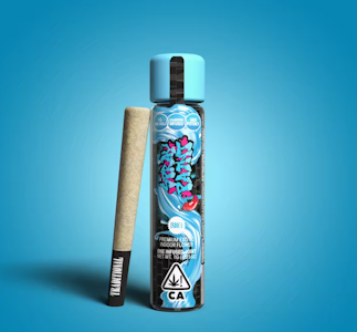 TRADITIONAL - TRADITIONAL 1G Spray Paint Infused Preroll