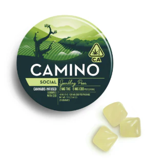 Camino - Camino - Sparkling Pear CBD 1:3 - Gummies - 20pk - 120mg Main Image