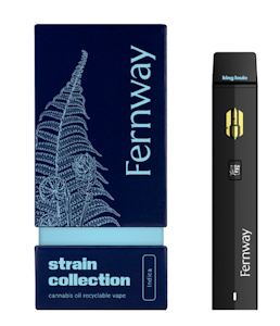 FERNWAY - King Louis - 1G AIO Traveler