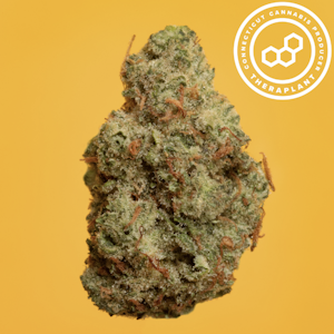 THERAPLANT - Super Buff 41485