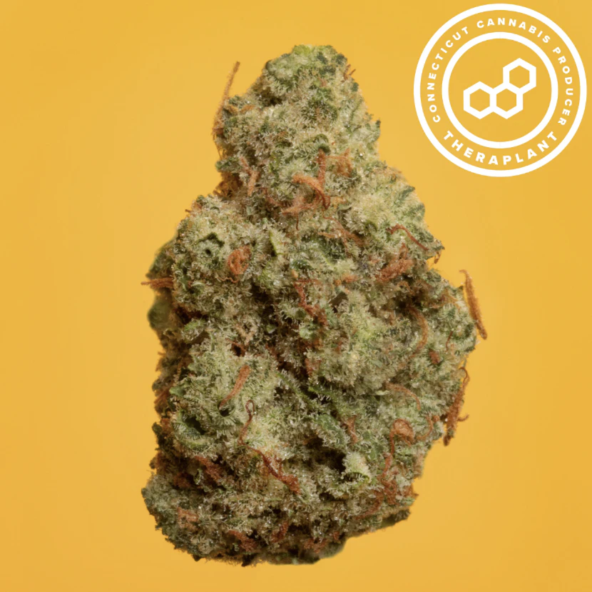 Theraplant - Super Buff 41485 Main Image