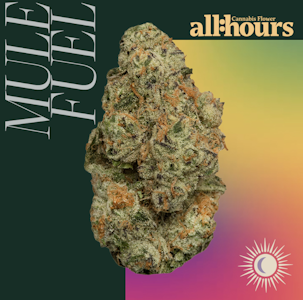 ALL HOURS - Mule Fuel 4925