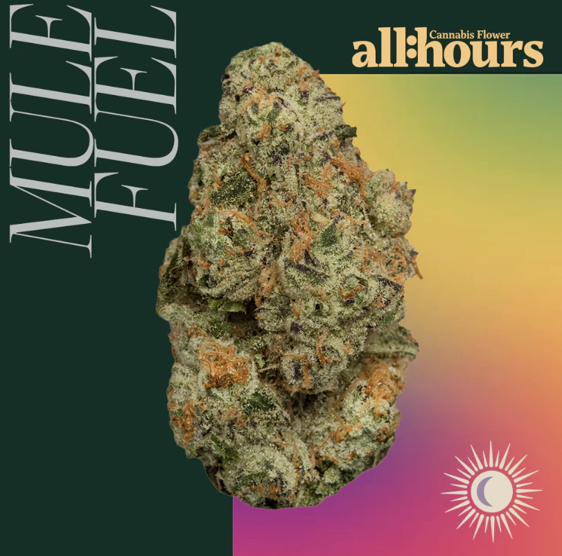 all:hours - Mule Fuel 4925 Main Image