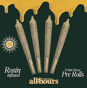ALL HOURS - all:hours Nimbus Snacks Rosin Roll Shorties 41417