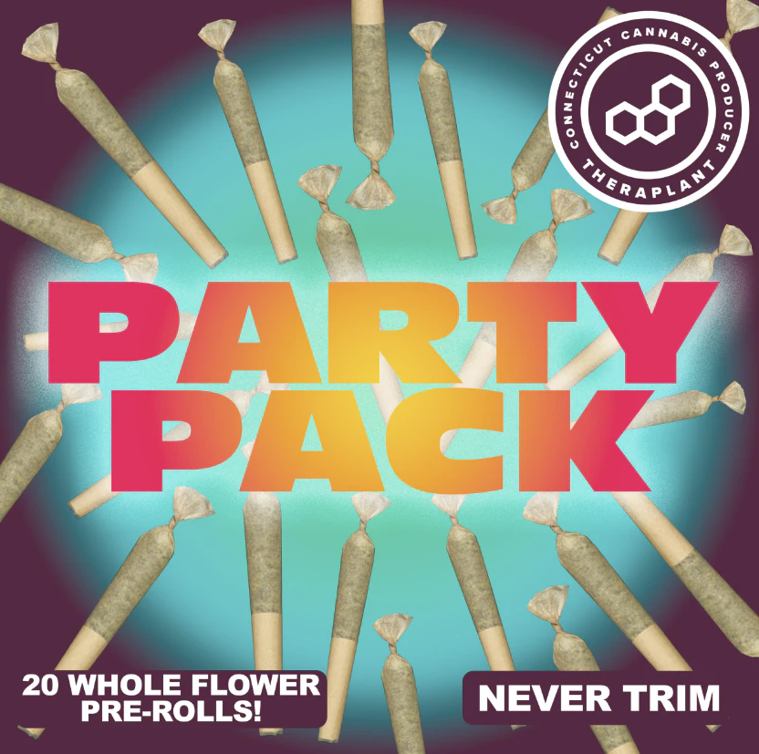 Theraplant - Ice Cream Cke Party Pack 41462 Main Image
