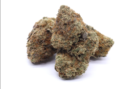 7g - Dodi - Indica Dominant