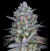 14g - Dream Machine - Indica