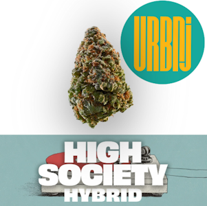URBNJ - High Society 28g whole flower