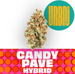 URBNJ - Candy Pave 14g
