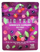 Big Tree - Wild Berry - Gummies - 100mg