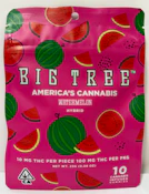 Big Tree - Watermelon - Gummies - 100mg