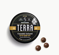 TERRA 100mg Sea Salt Caramel Milk Chocolate Bits 20pc