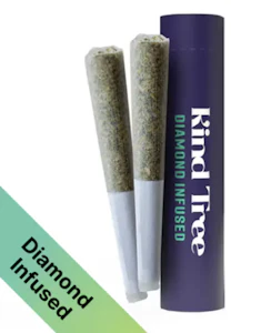 KIND TREE - Kind Tree | Grape Sitter | INFUSED 1g/2pk Preroll