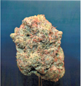 Curaleaf Whole Flower 3.5g Atomic Breath (H) 01269