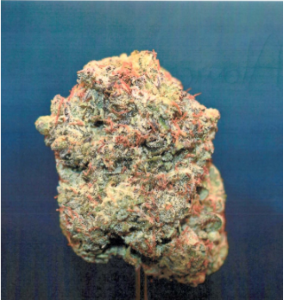 CURALEAF - Curaleaf Whole Flower 3.5g Atomic Breath (H) 01269