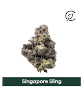 Curaleaf Whole Flower 3.5g Singapore Sling (S) 01330