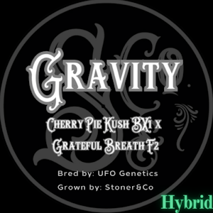 Stoner & Co. - Flower | Gravity