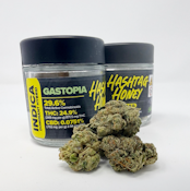 GASTOPIA FLOWER- HASHTAG HONEY- 3.5g