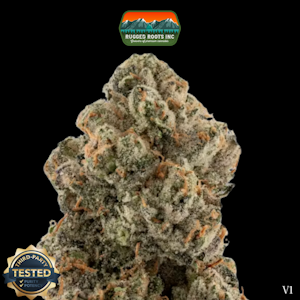 Rugged Roots - Flower | Vanilla Wafer