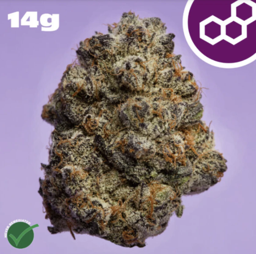 Theraplant - Jelly Roll 14g 41478 Main Image