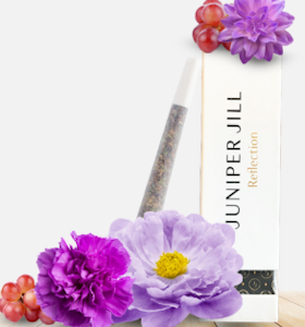 JUNIPER JILL - Juniper Jill - Empire State Cake - 1g Preroll
