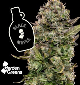 GARDEN GREENS - Flower | Buds | Garden Greens | Black Maple | 3.5g