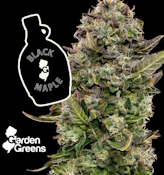 Garden Greens | Mixed Buds | Black Maple | 7g